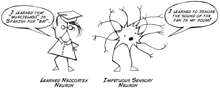 impetuousneuron_small